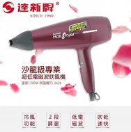 達新牌超低電磁波專業1200W大出風量吹風機 TS-2626